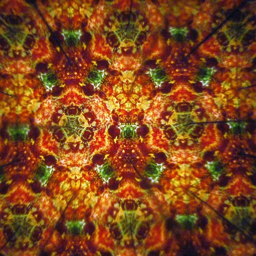 rug