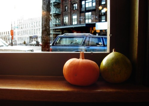 gourds