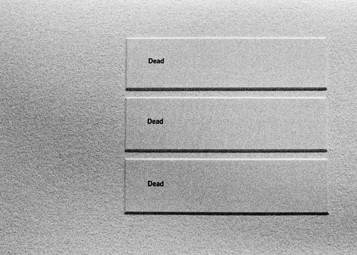 deaddeadead