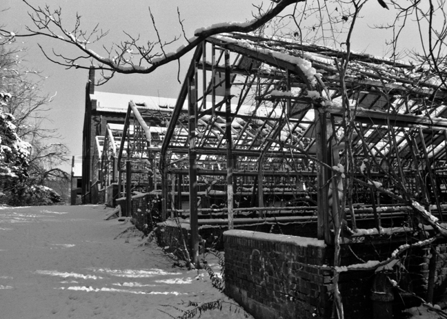 Poking around the abandoned Boyce Thompson Institute in Yonkers. Fuji Acros 100, Canon AL1, 28/2.8