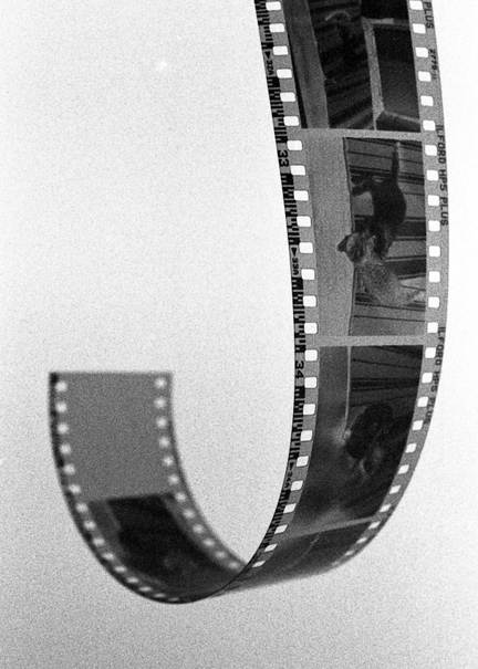 film