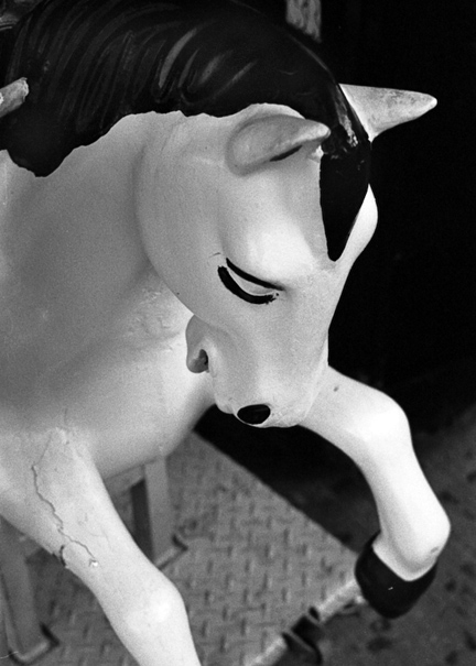 horse
