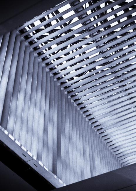 lines